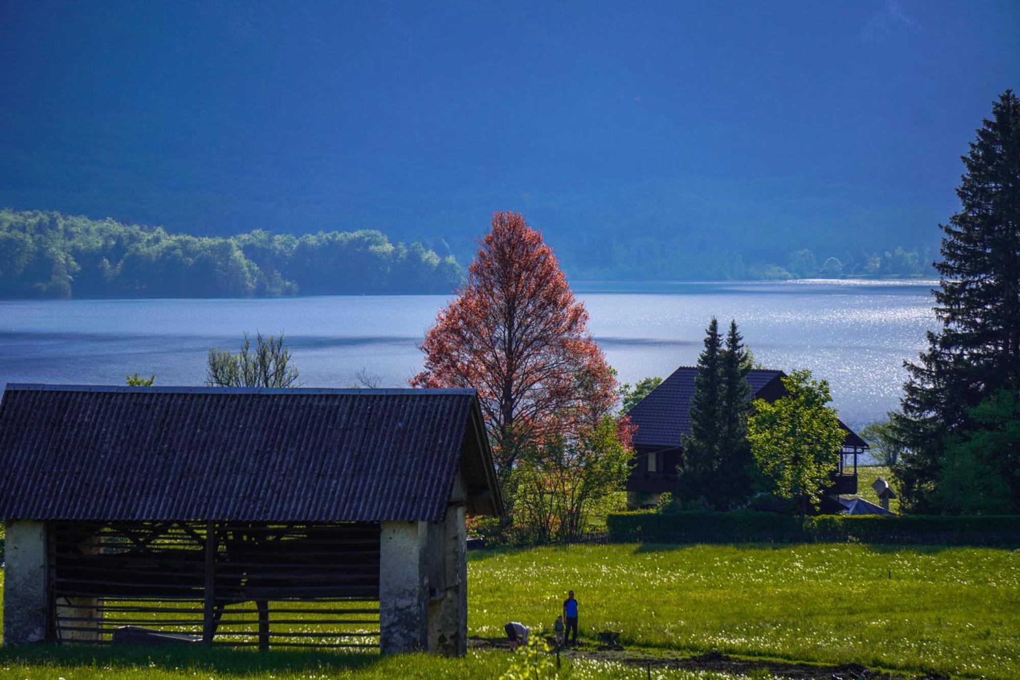 Aurora, Appartamento Bohinj